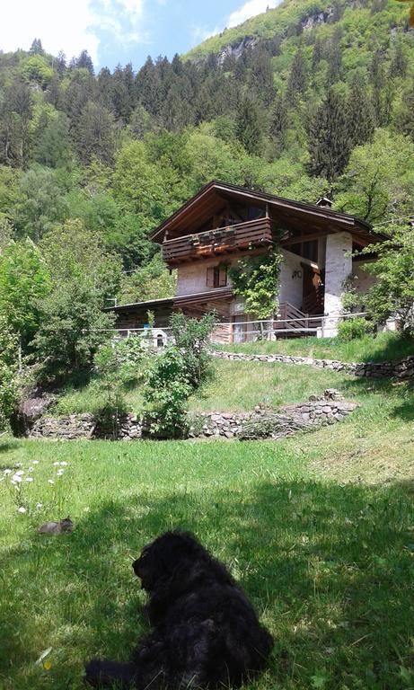 B&B Villa Ca'Praja Daone Exterior photo